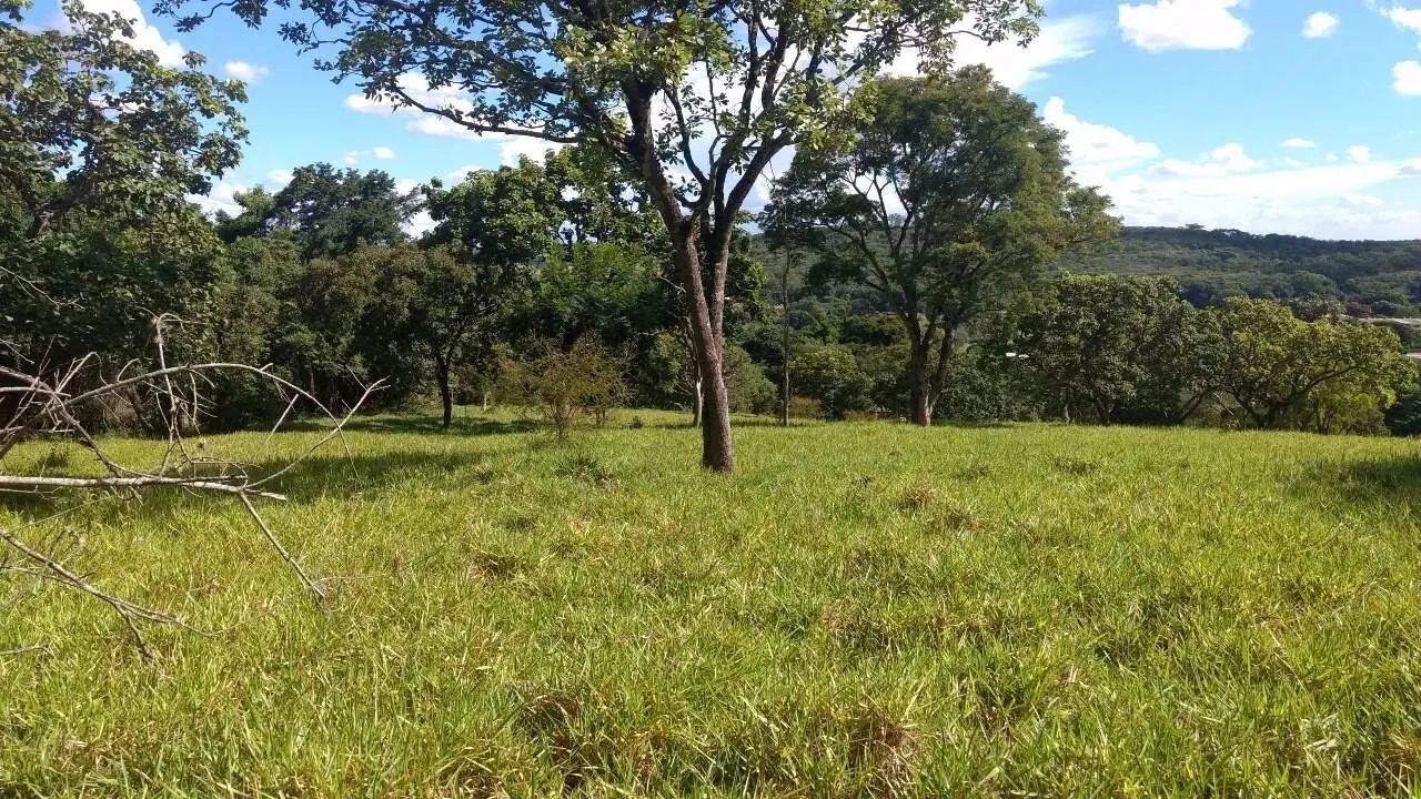 Lote - Terreno à venda, 20 vagas, Veneza - Ribeirão das Neves/MG - Foto 3