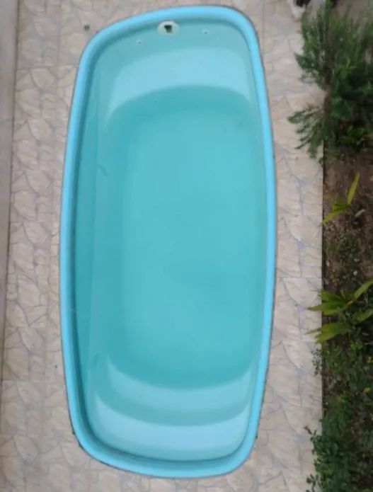 Foto - Caraguatatuba - Massaguaçu