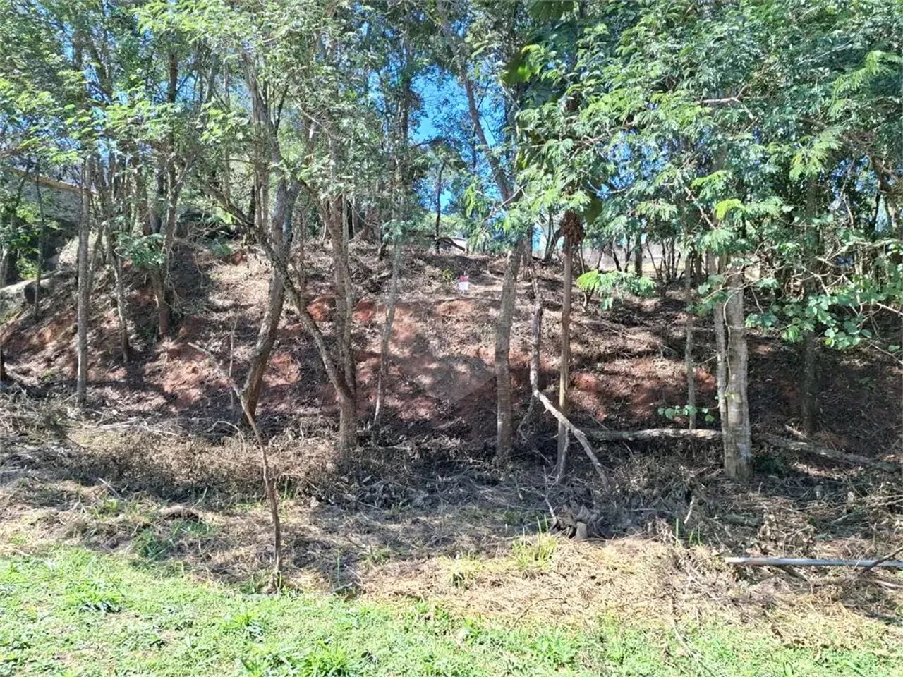 Terreno à venda em Jardim peri - SP - Foto 4