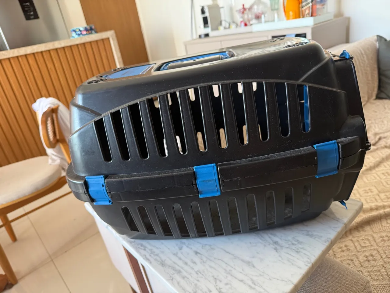 Caixa de Transporte para Pet - Conforto e Segurança