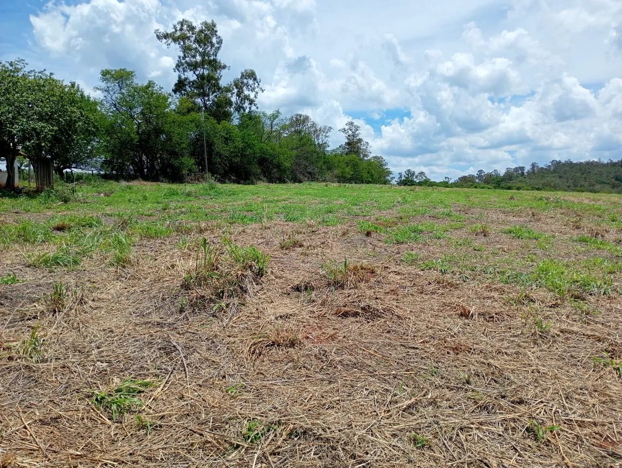 Terreno de 20 mil metros módulo rural  - Foto 5