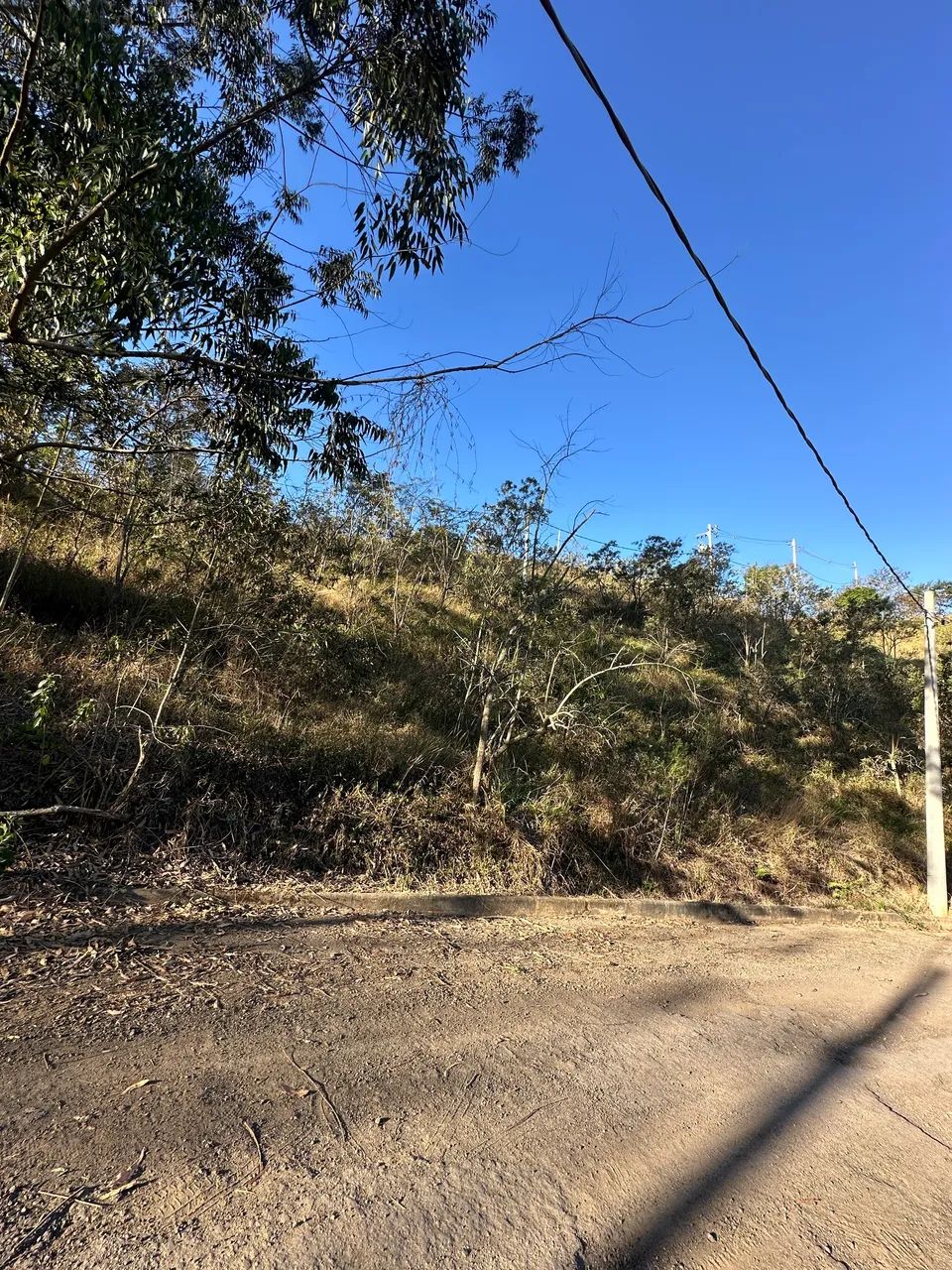 Foto - Miguel Pereira - 