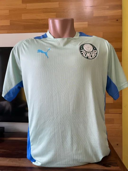 Camisa Palmeiras Puma - Treino, temporada 22/23