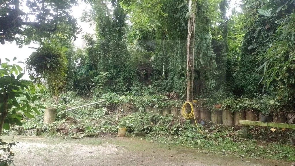 Terreno à venda em Florianópolis - Foto 13