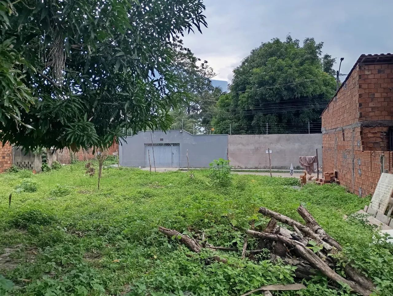 Terreno a venda- Apaco - Foto 2