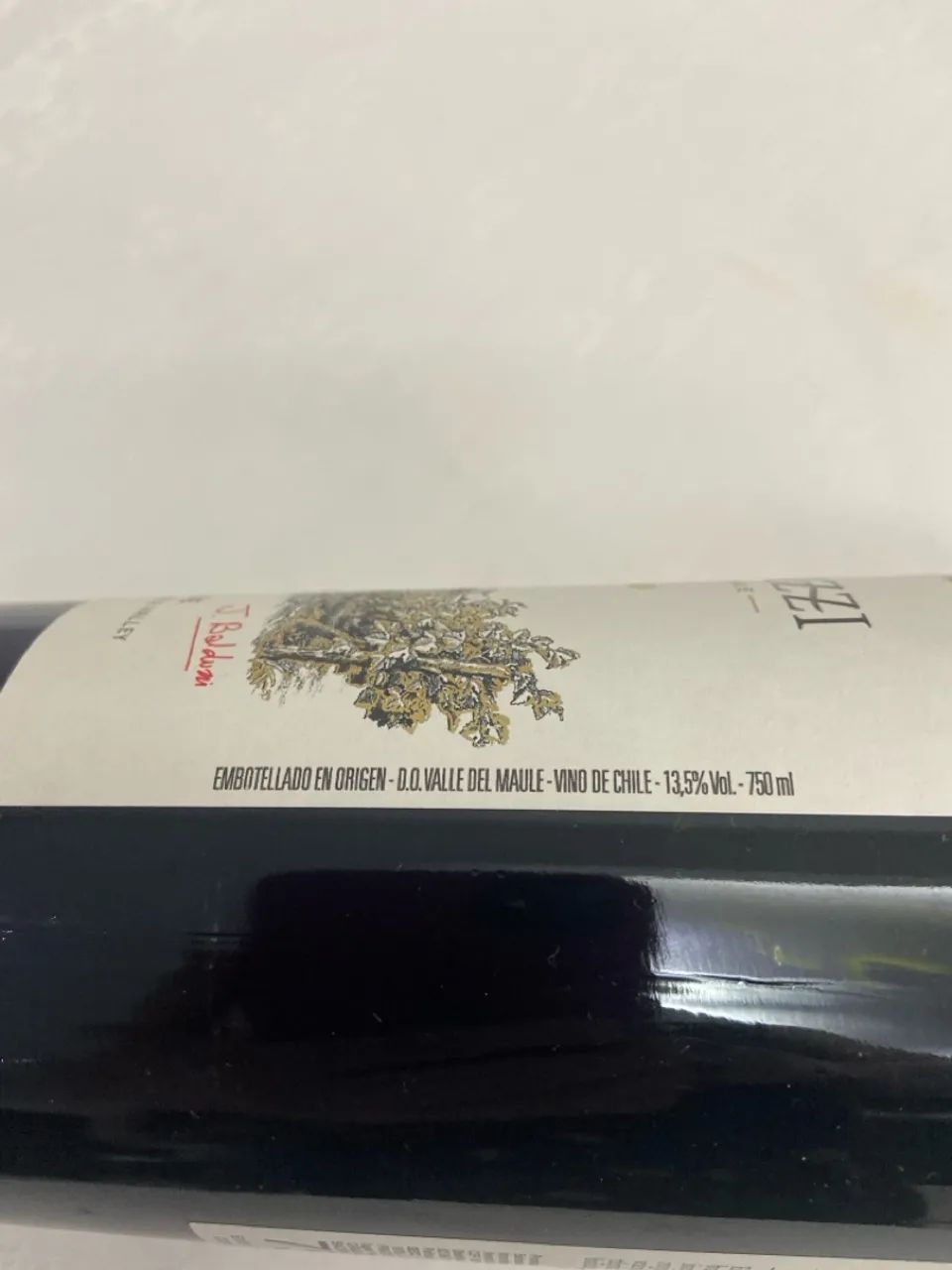 Vinho Chileno Baldduzzi Carmenere Reserva 2017 - Foto 3