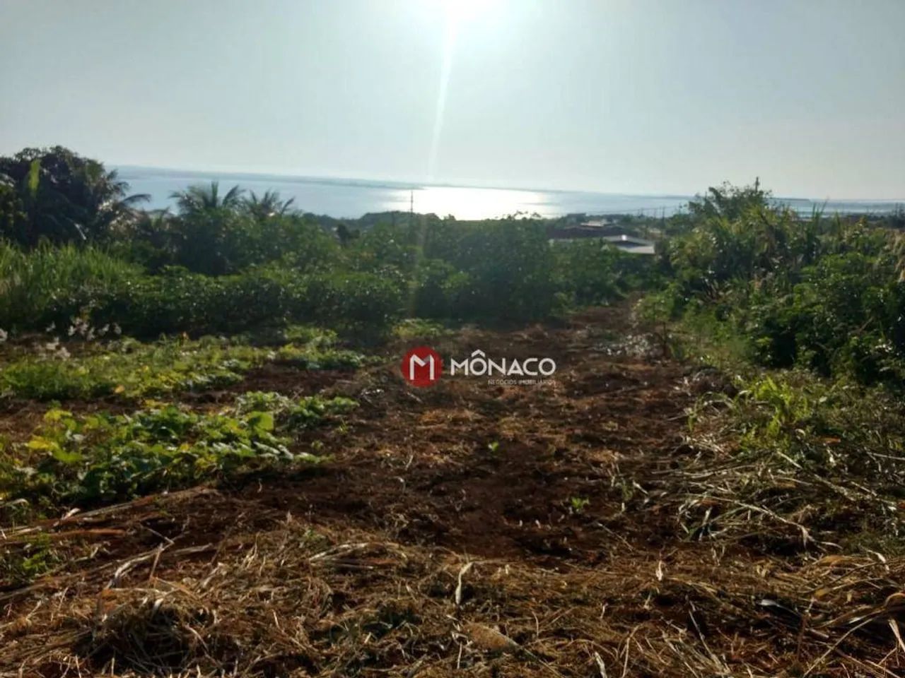 Terreno à venda, 1527 m² por R$ 95.000,00 - Barbosa - Alvorada do Sul/PR - Foto 2