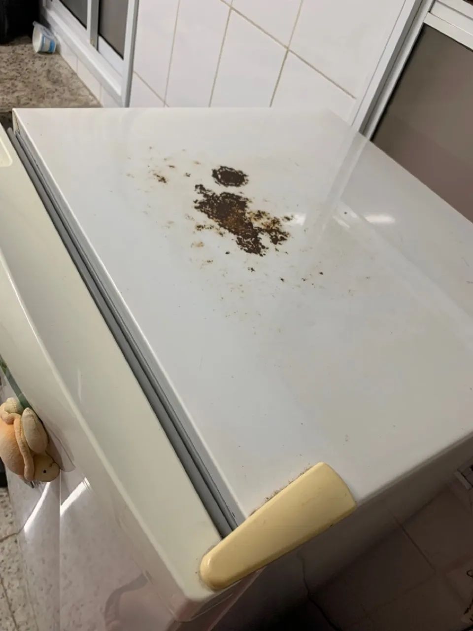 Refrigerador Consul 300 L - Foto 4