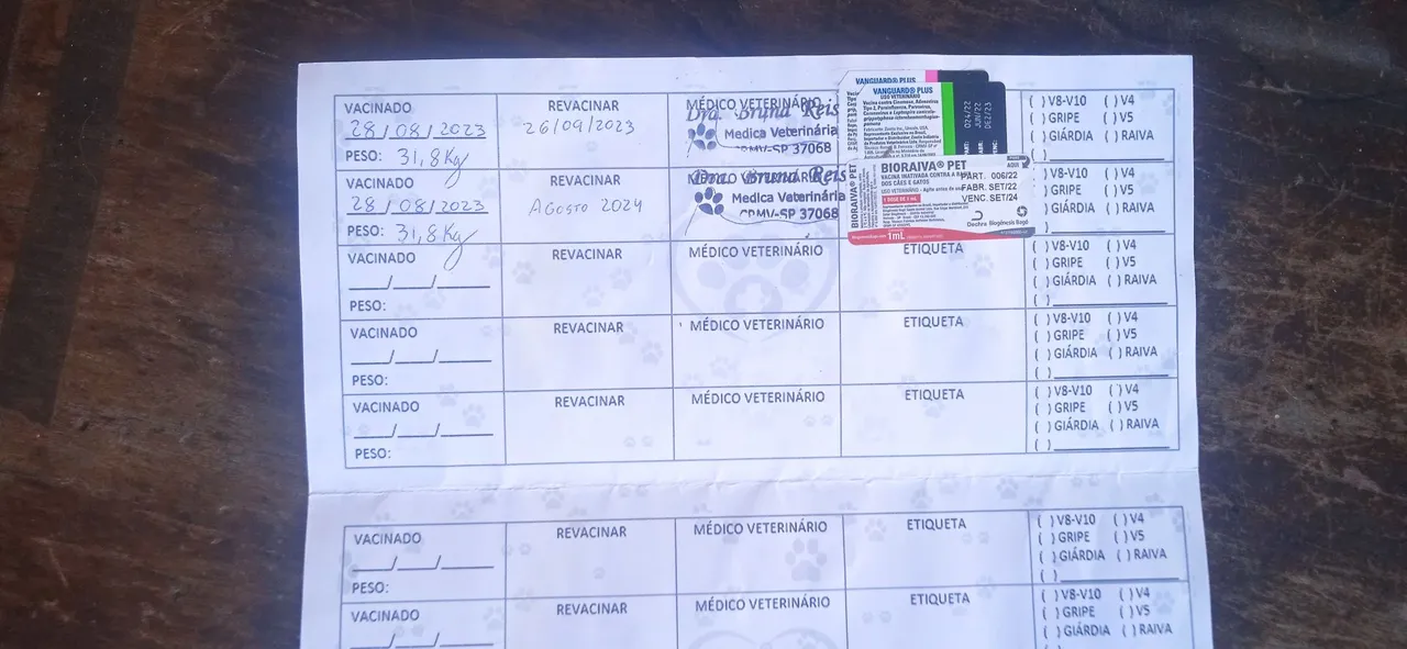Doação 
