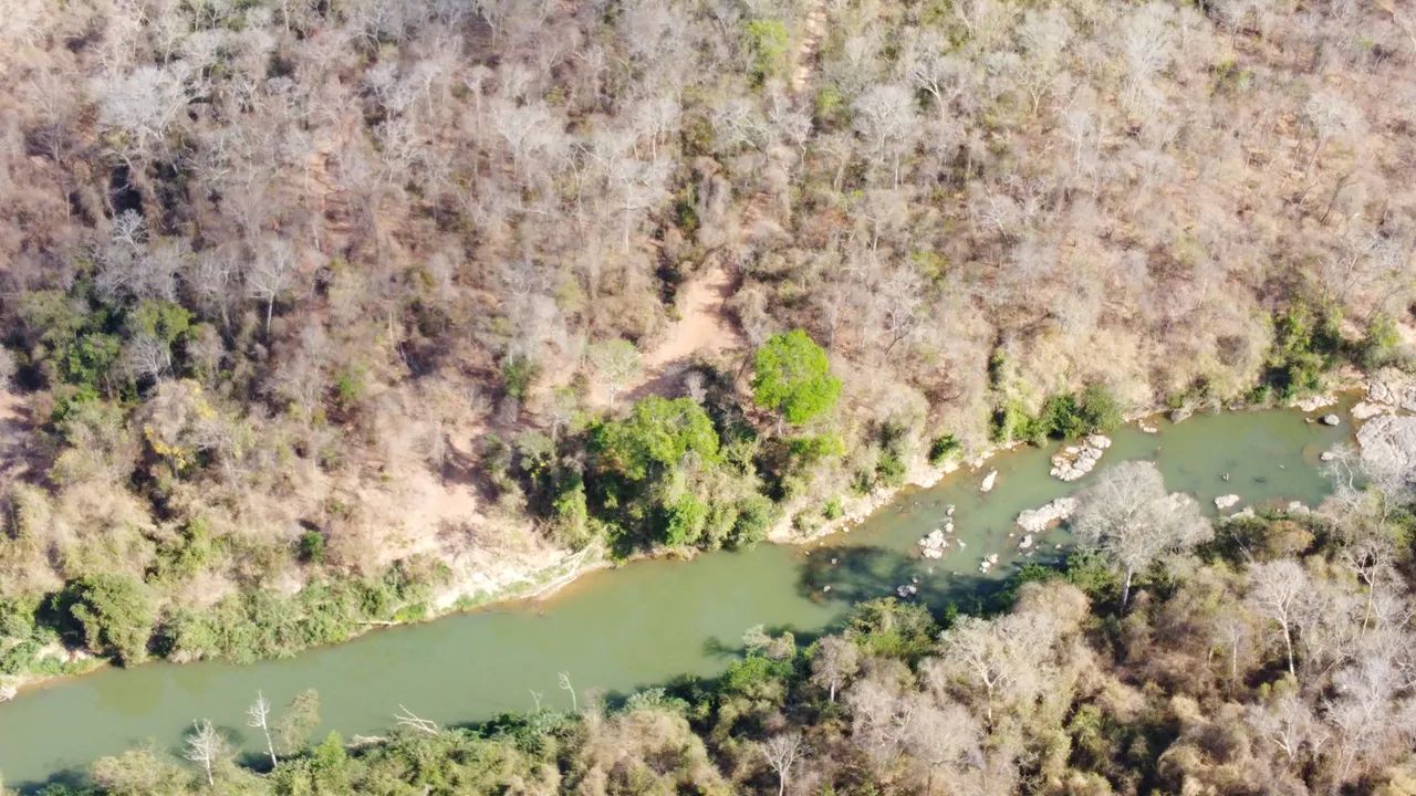 # Chácaras 2 Hectares ESCRITURADA Aceita Troca ^