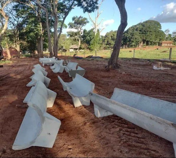 Cochos para confinamento  - Foto 5