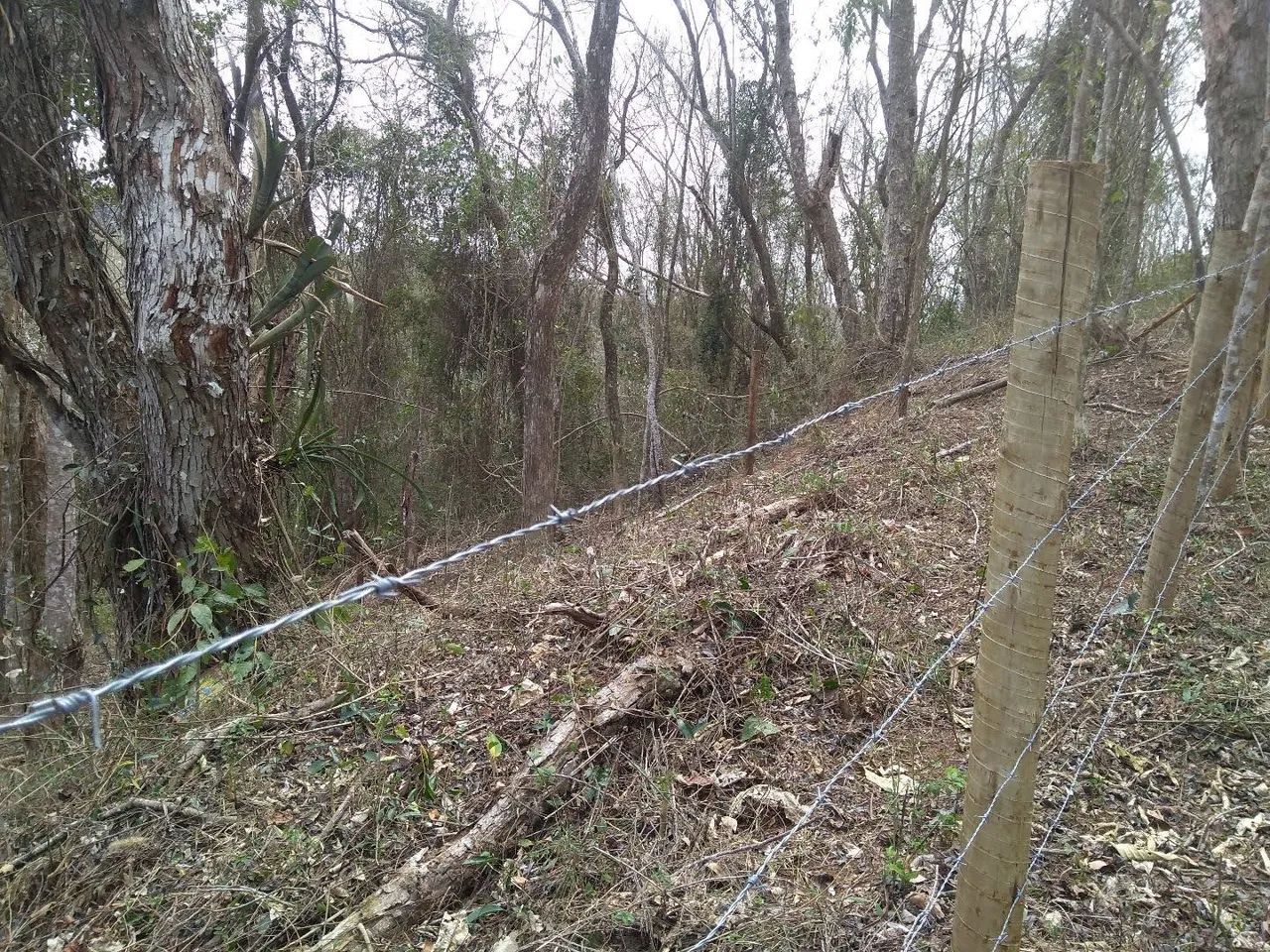 Belo terreno a 500 m do centro do Vale das Videiras  - Foto 5