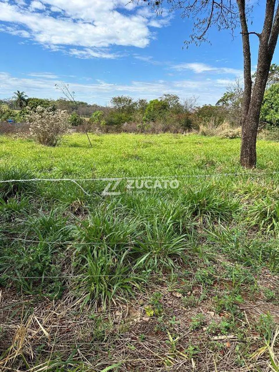 Chácara à venda, 0m² - Uberaba - Foto 4
