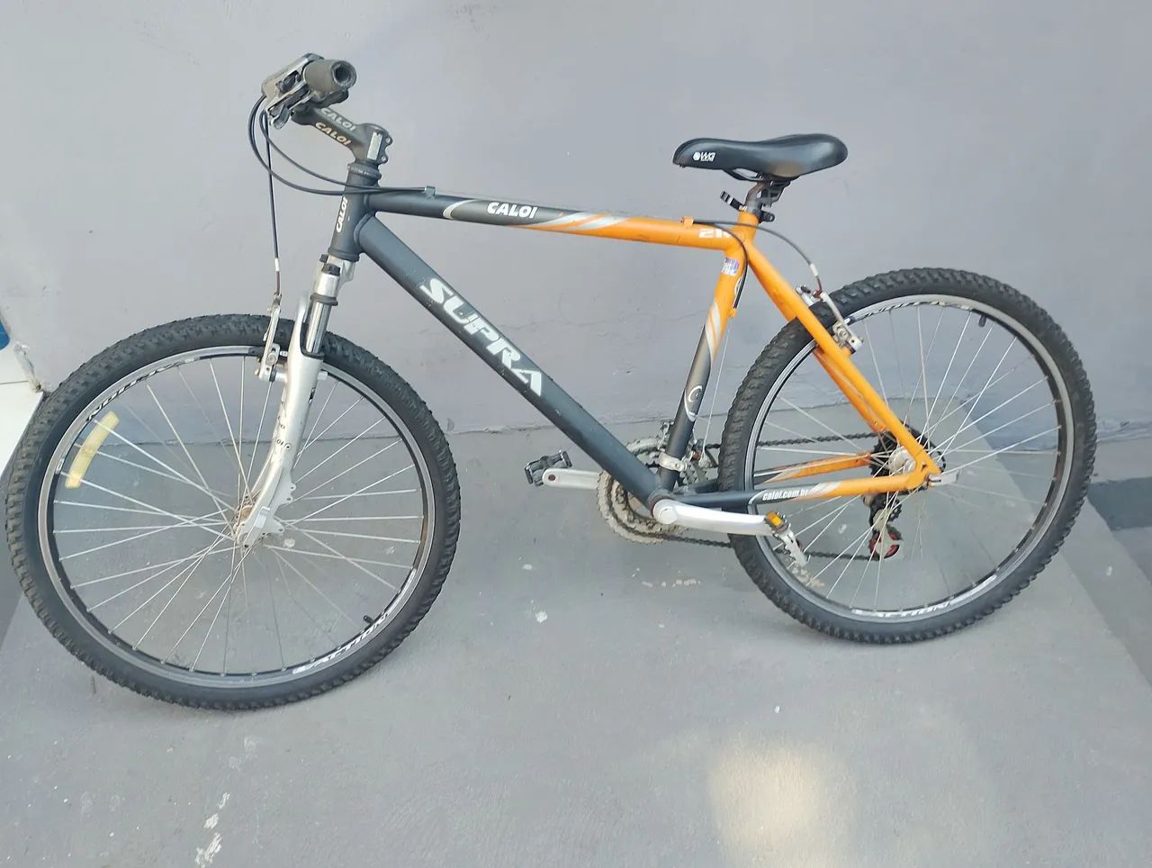 Bicicleta 