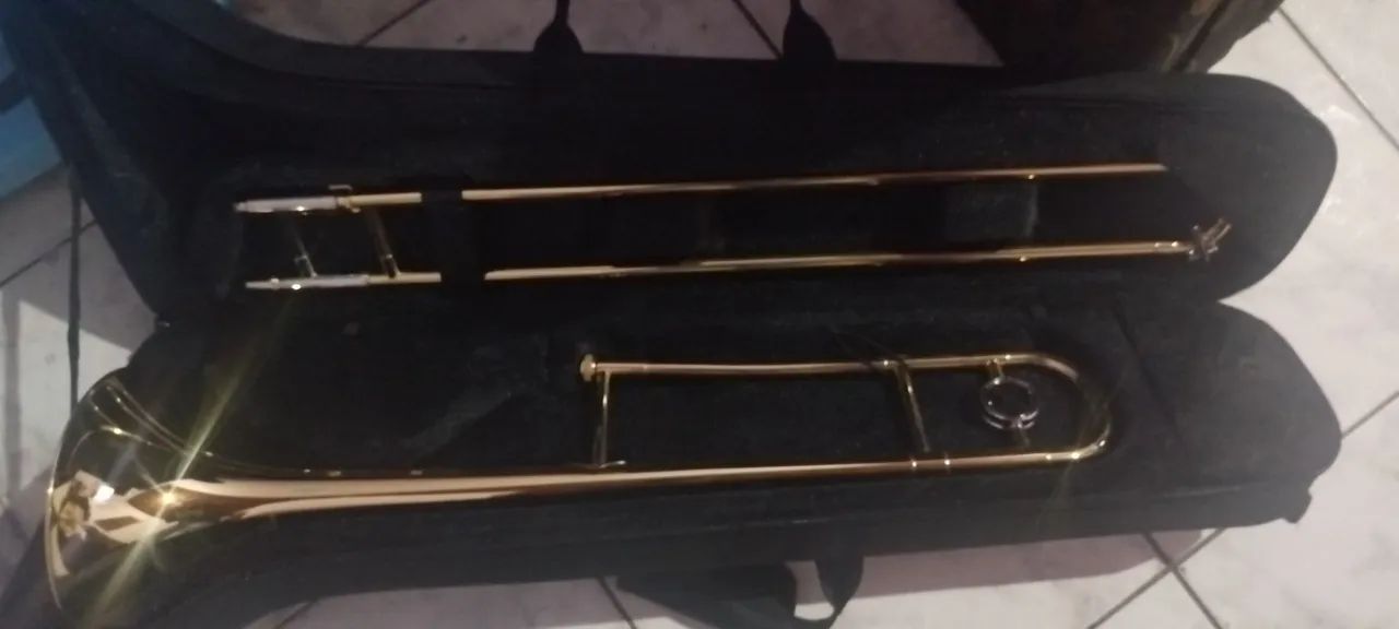 Trombone de vara- Michael wtbm35