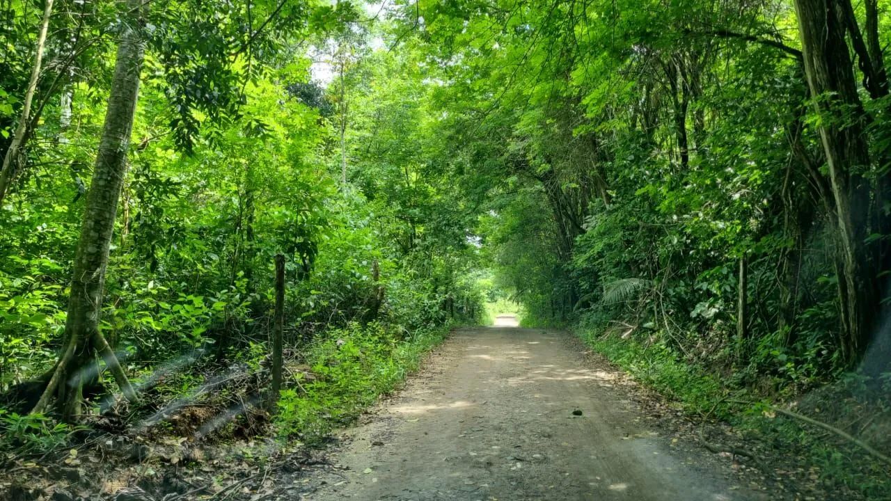 Chácara região serrana  - Foto 2