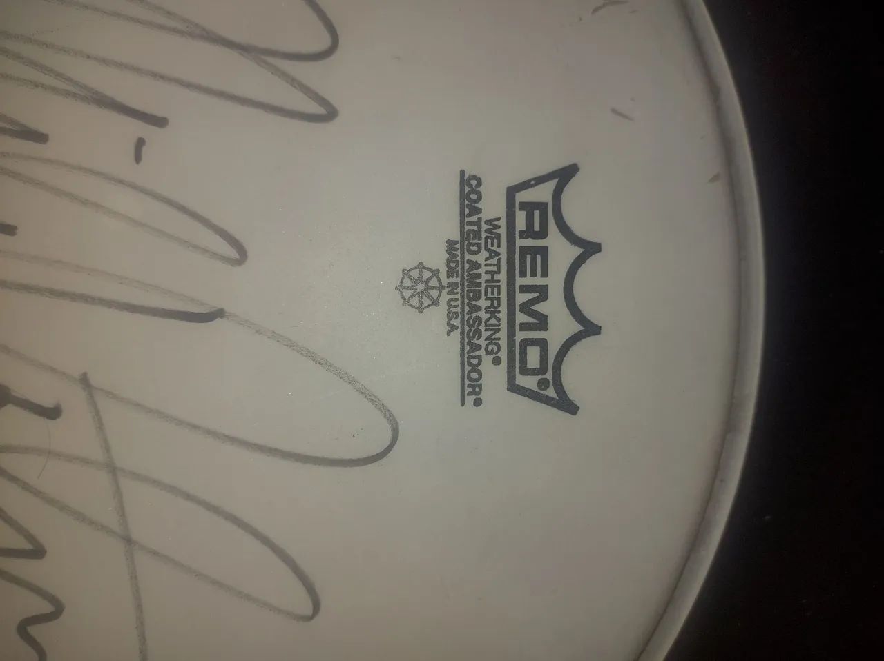 Pele Remo Coated Embassador de 12 polegadas autografada pelo Mike Portnoy - Foto 3