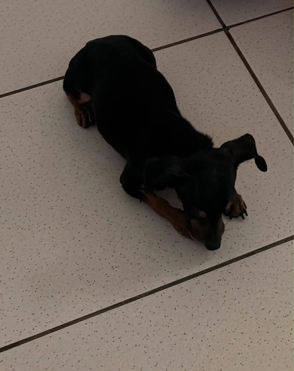 Procurando uma namorada  - Foto 2