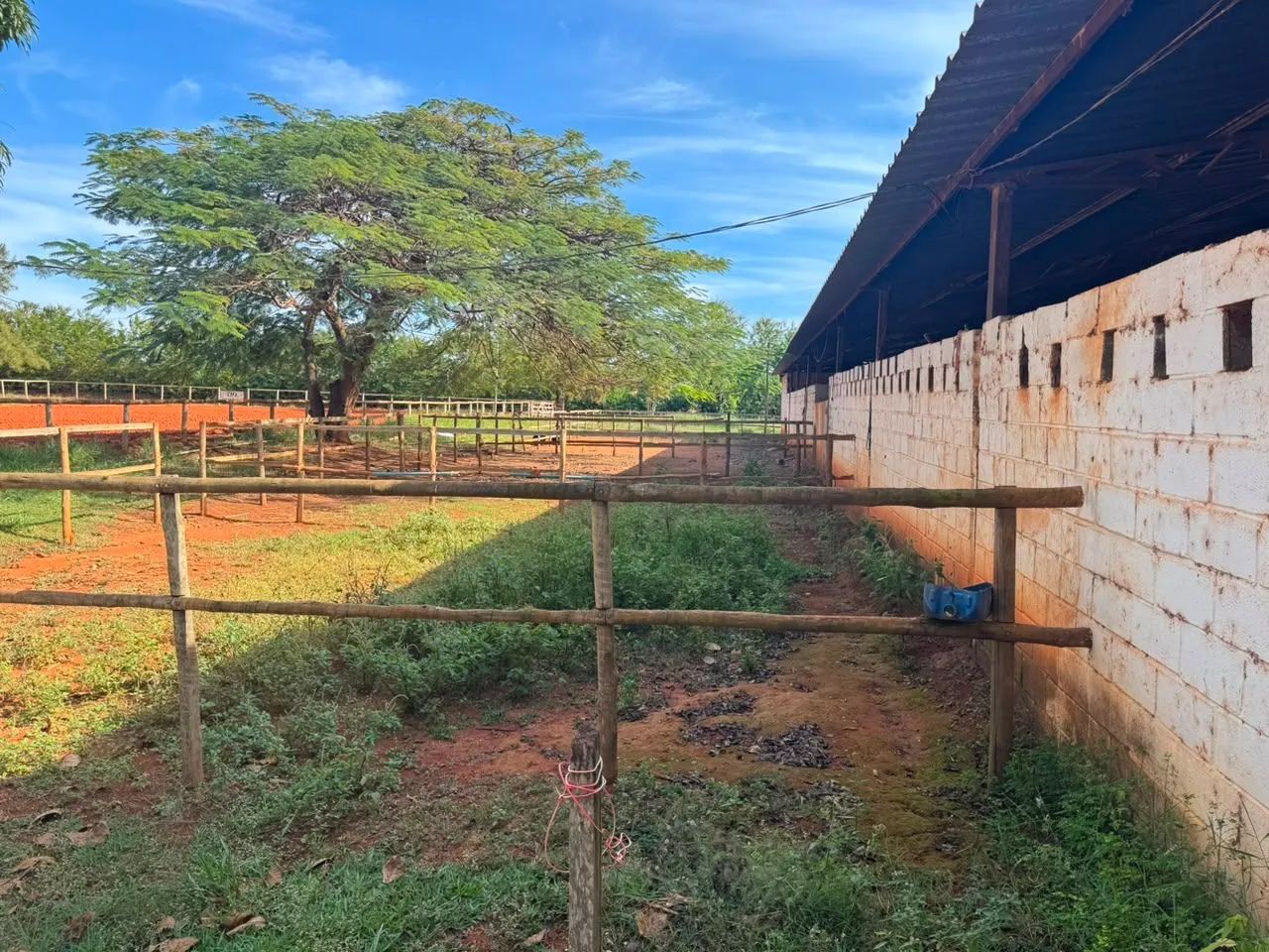 Alugo Rancho na rota do cavalo - Foto 3