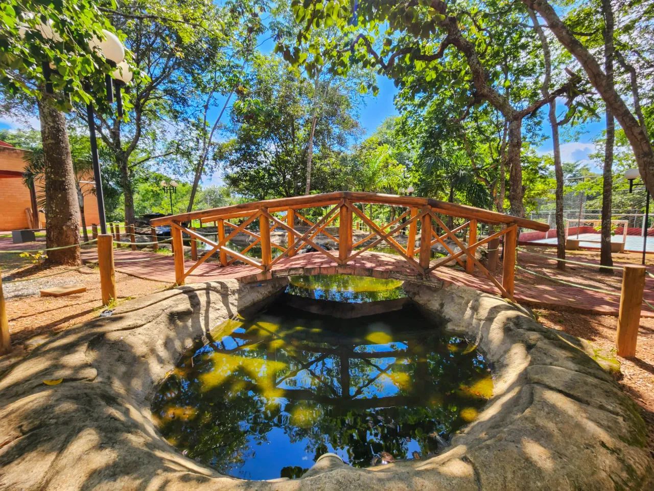 Chácara para venda com 2.976 metros quadrados - Foto 3