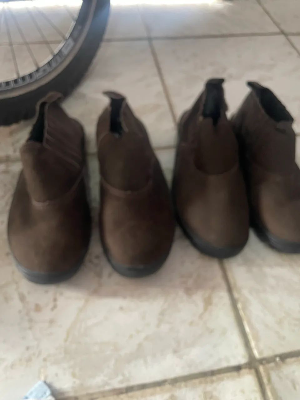 Bota