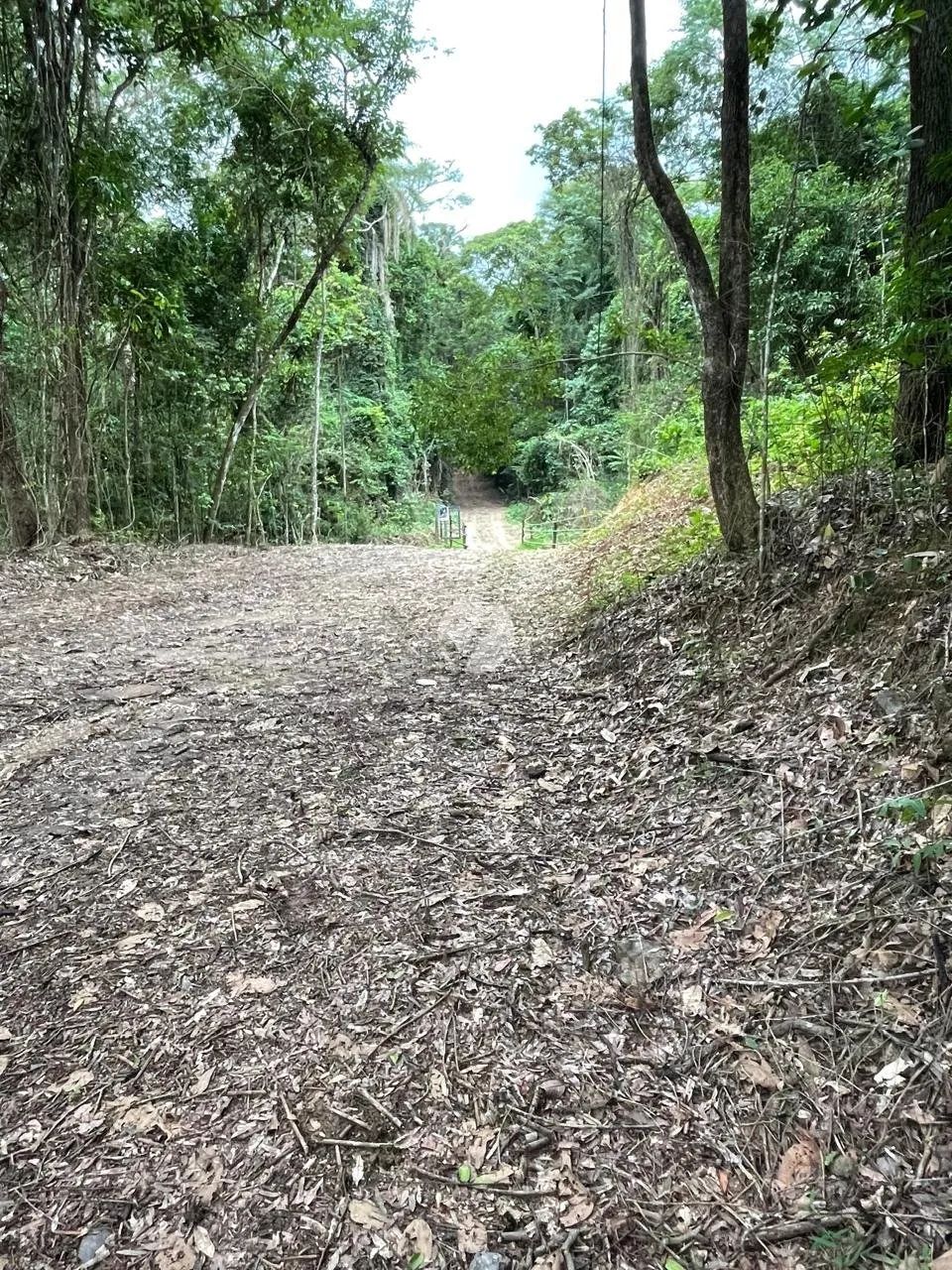 Terreno à Venda em Honório Bicalho - Foto 3