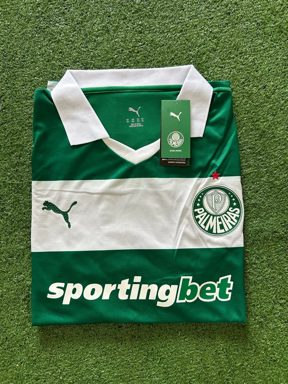 Palmeiras Edição especial 