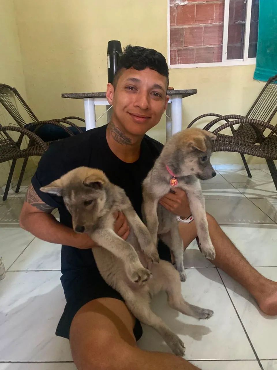 Cachorros De Raça - Foto 3