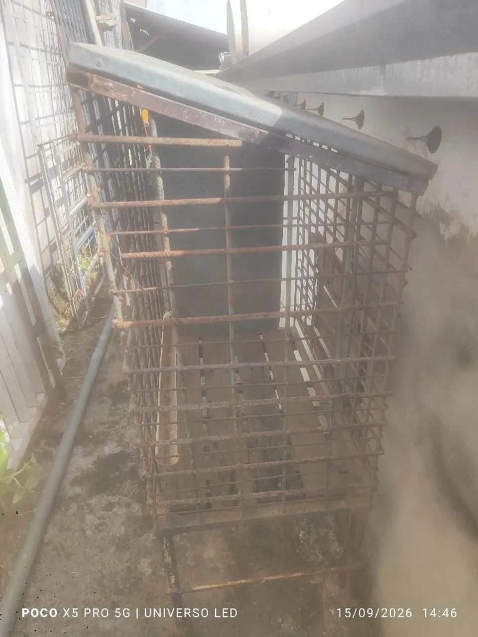 Gaiola para criação de Codornas 