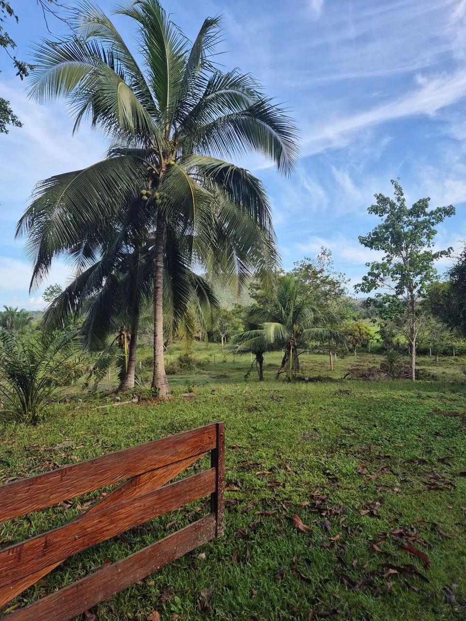Sítio Flores da Serra  - Cantá/RR - Foto 3