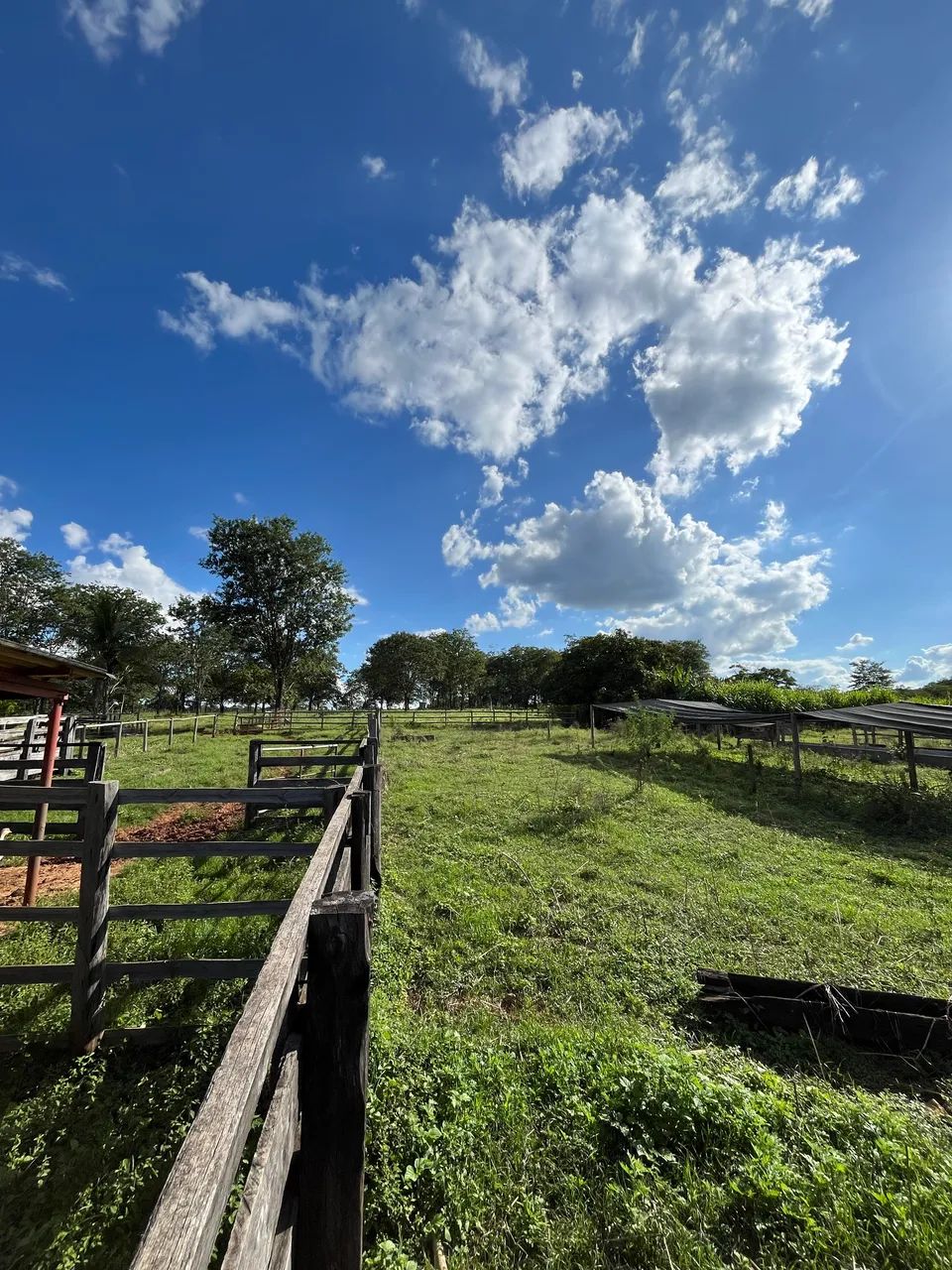 Sítio 10,68ha Estruturado - Área Produtiva - Caetanópolis - Foto 4
