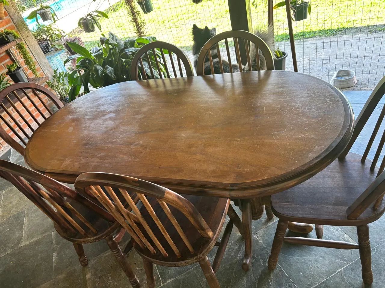 Vendo Mesa 06 cadeiras madeira maciça  - Foto 3