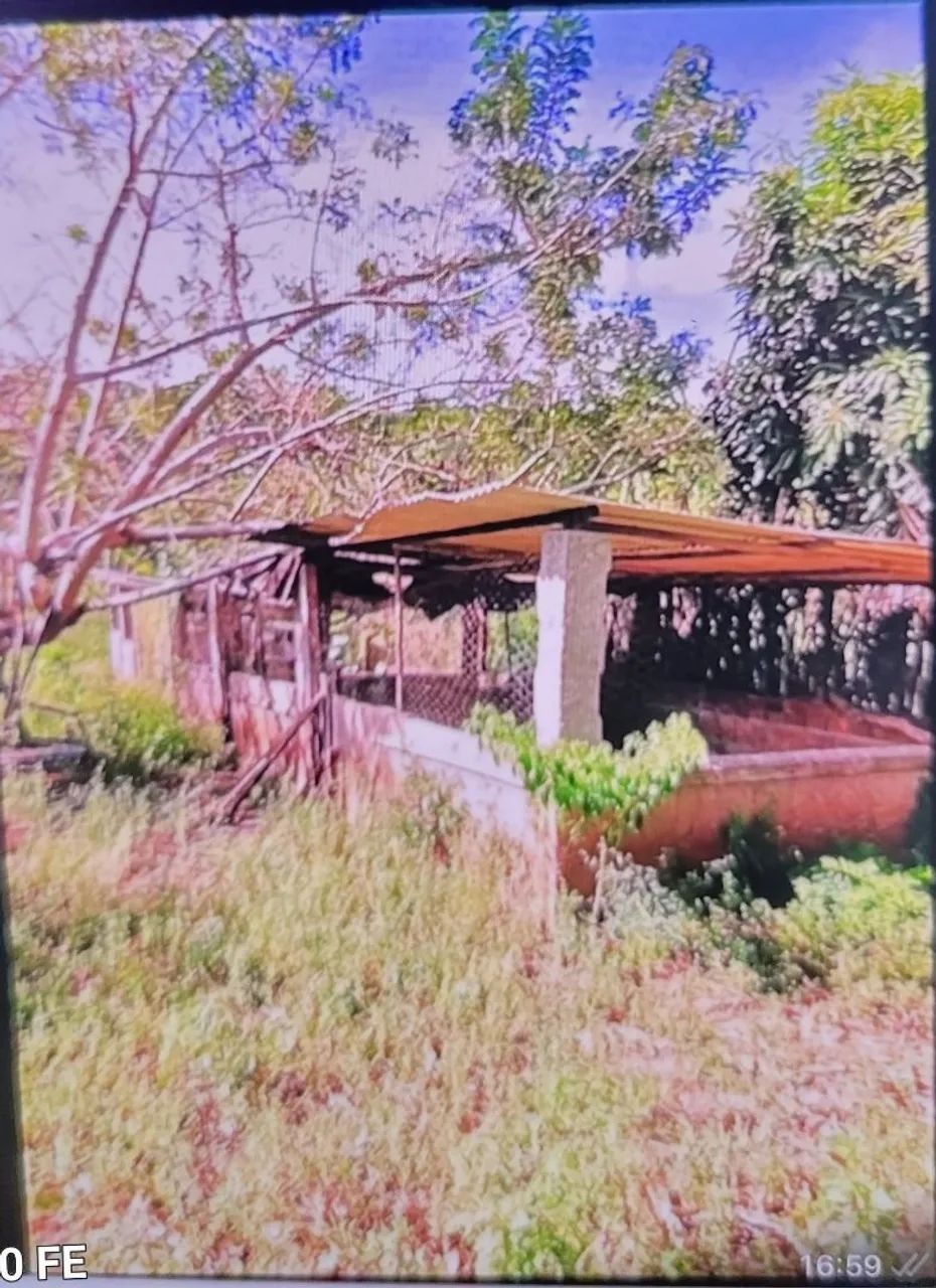Vende-se ou troco Sitio  - Foto 3