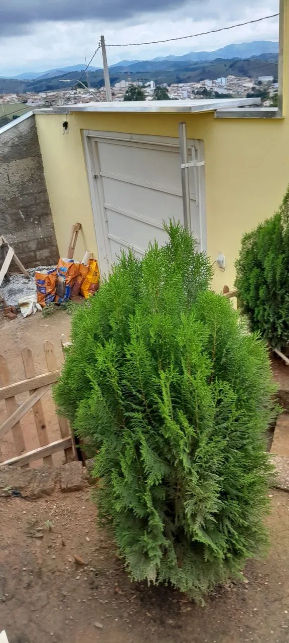 Casa à venda - Foto 2