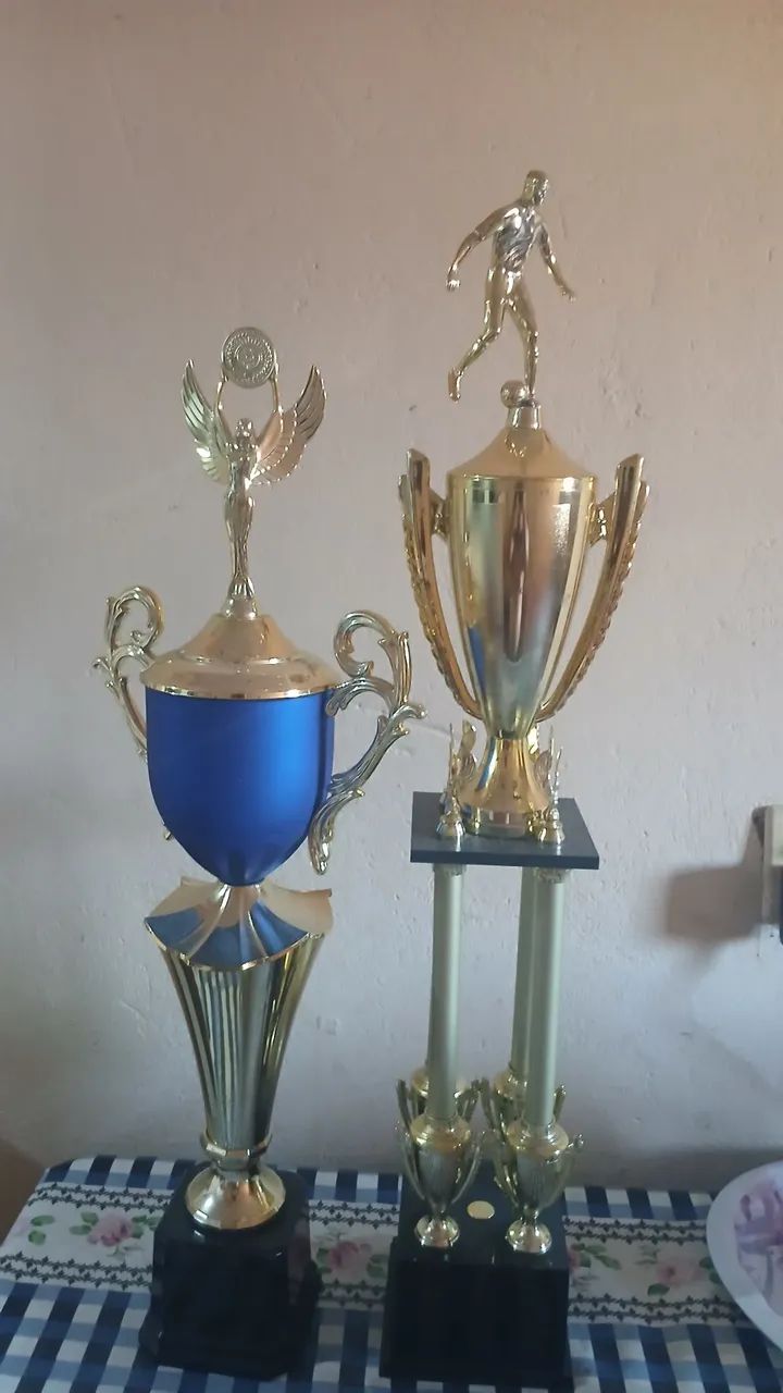 TROFÉU PARA CAMPEONATO 