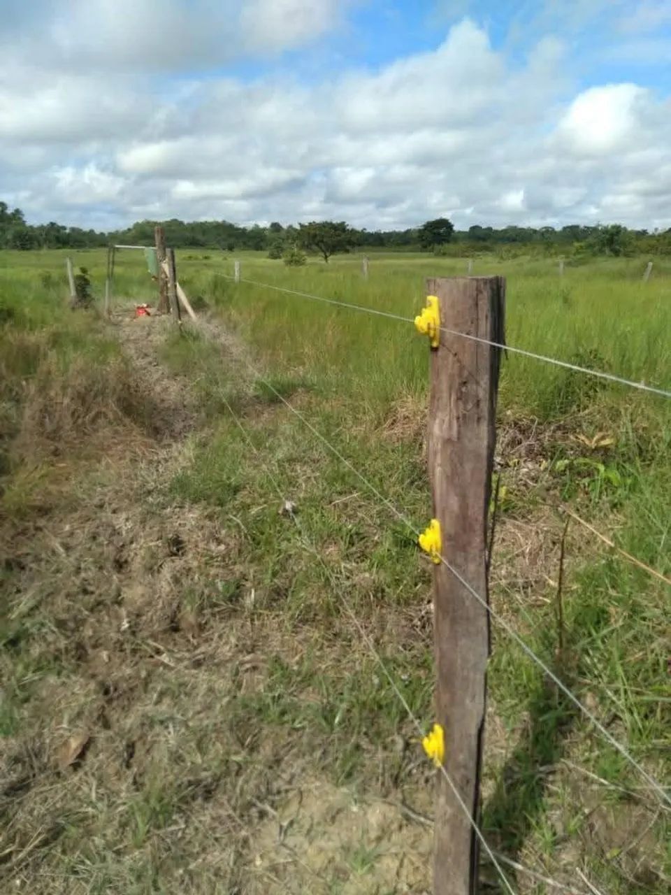 Fazenda em Tailândia, Pará 580 hec