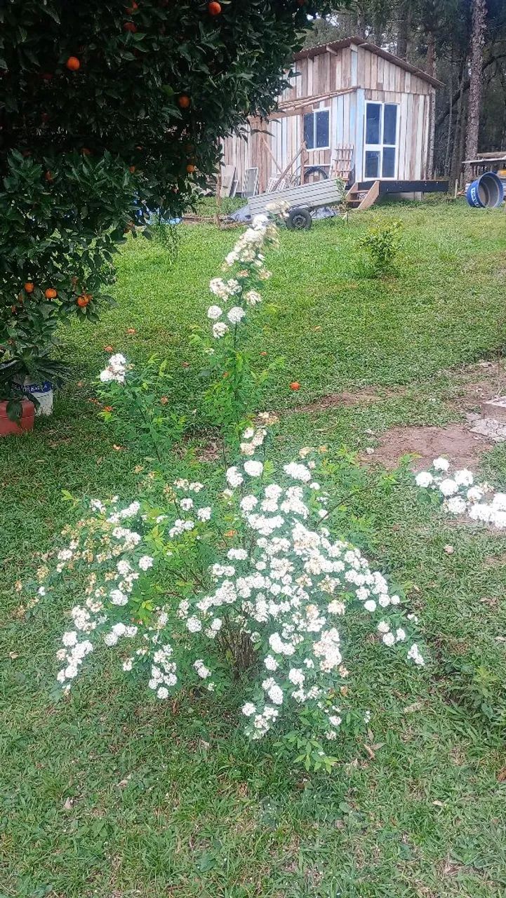 Casa de.campo - Foto 2