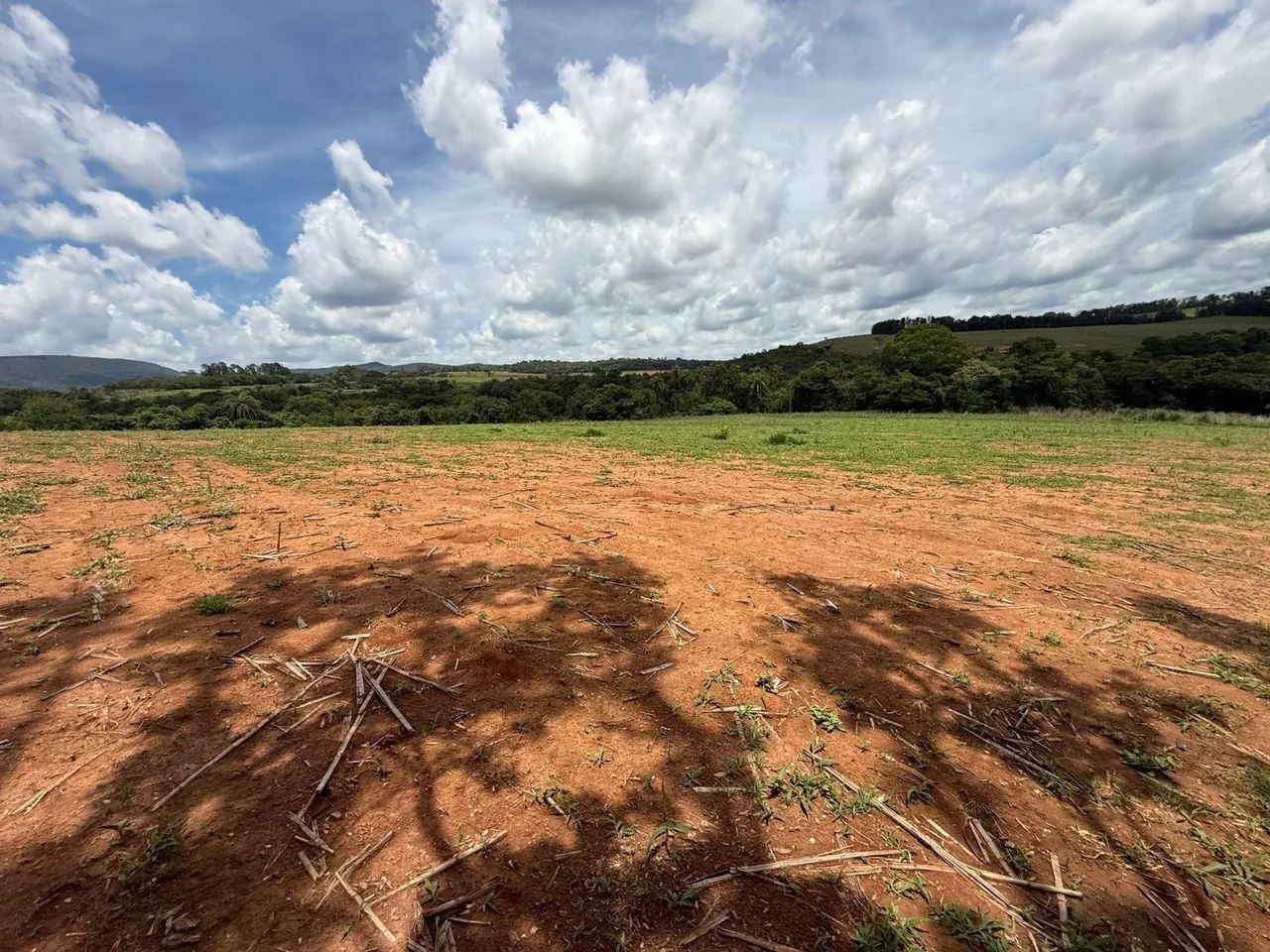 Fazendinhas rurais em florestal  - Foto 5