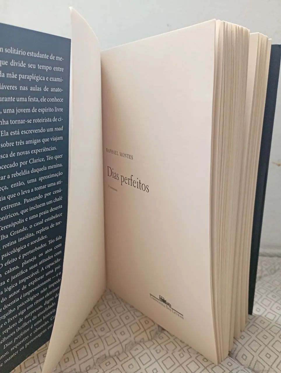 Livro: Dias perfeitos por Raphael Montes - Foto 5