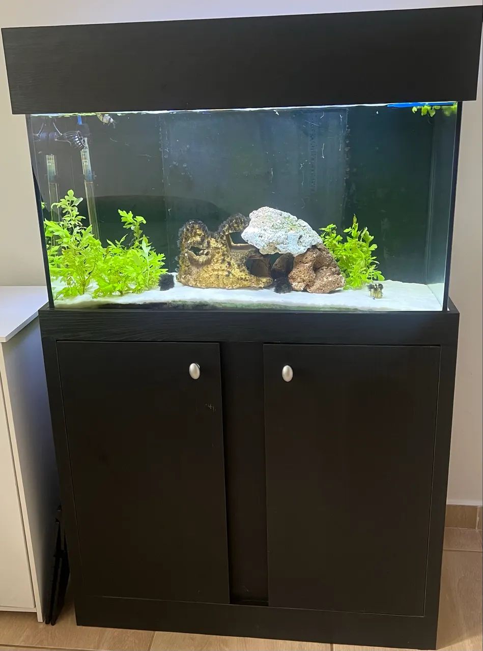 Aquário completo - 108 litros com sump e móvel