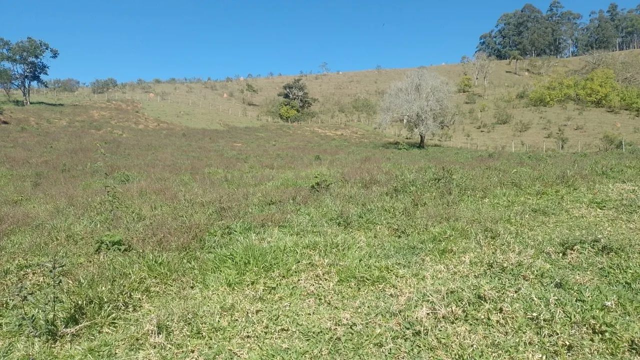 Vendo chácara em Paraibuna.  - Foto 4