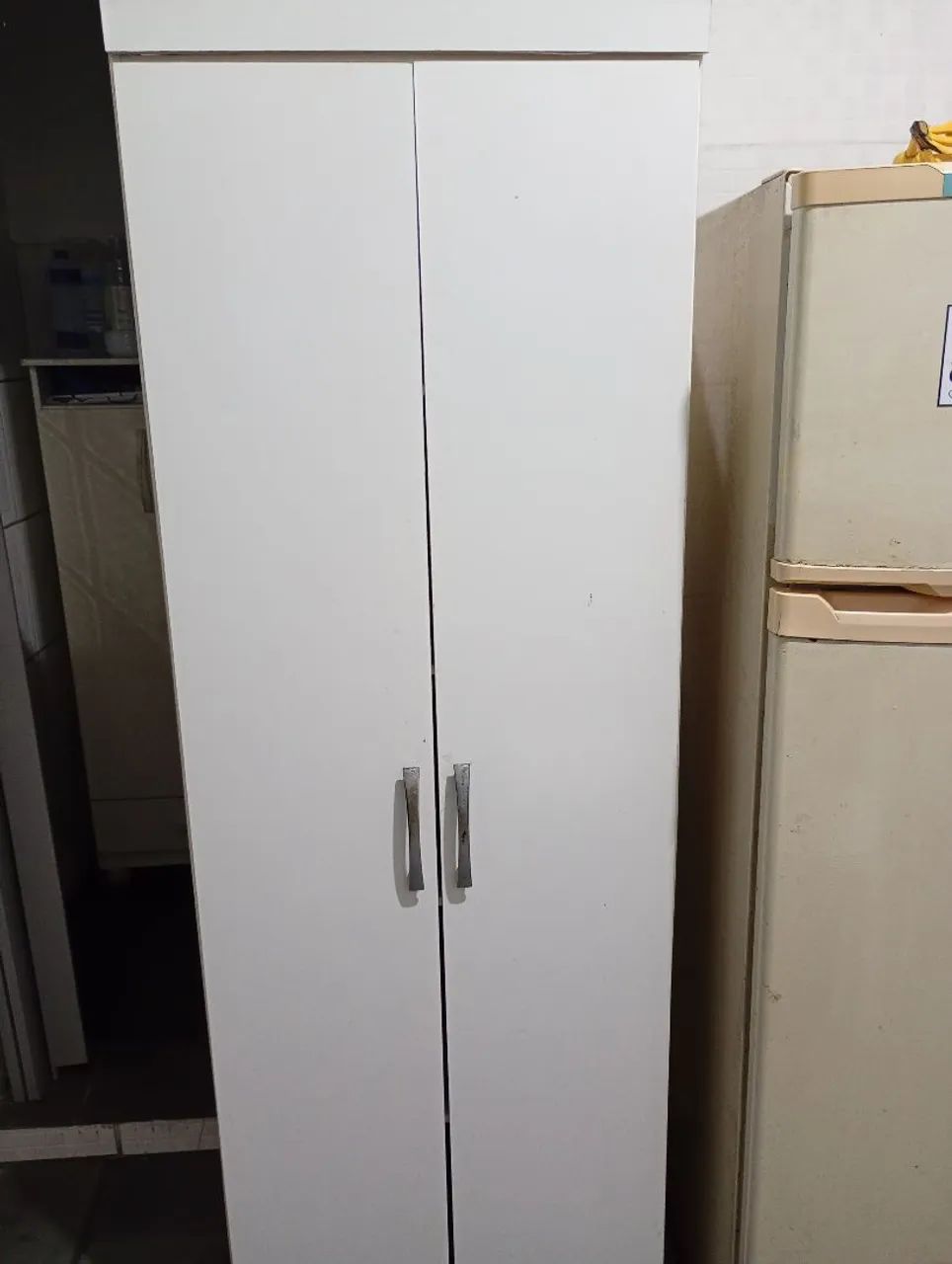 Armário multiuso 2 portas