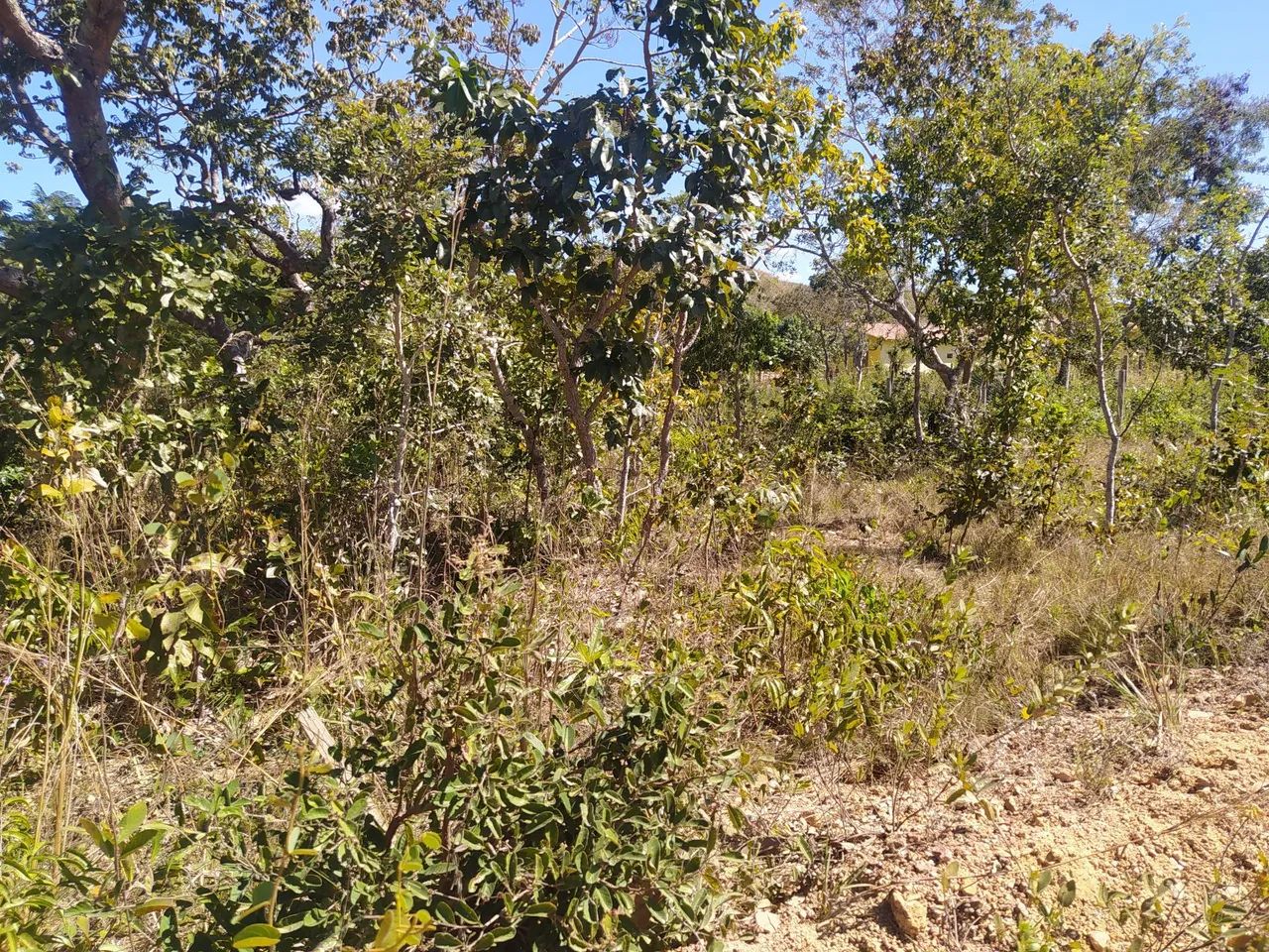 Lote no Lago serra da mesa - Foto 4