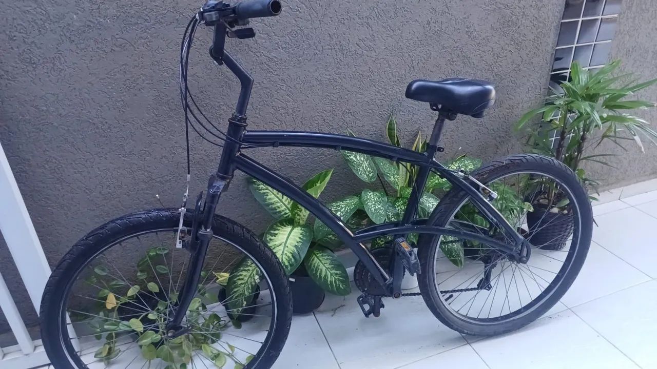 Caloi 100