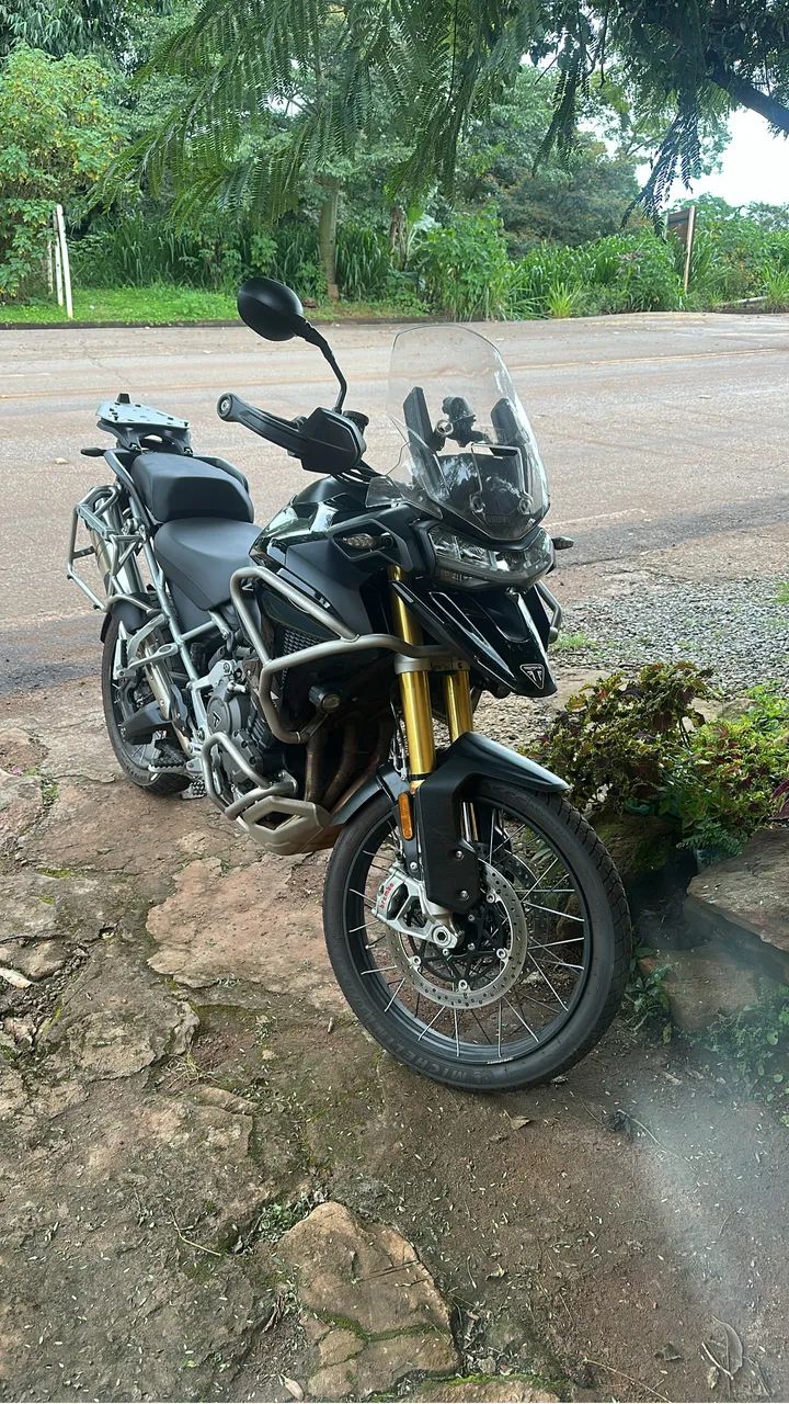 Tiger 1200 raly pro