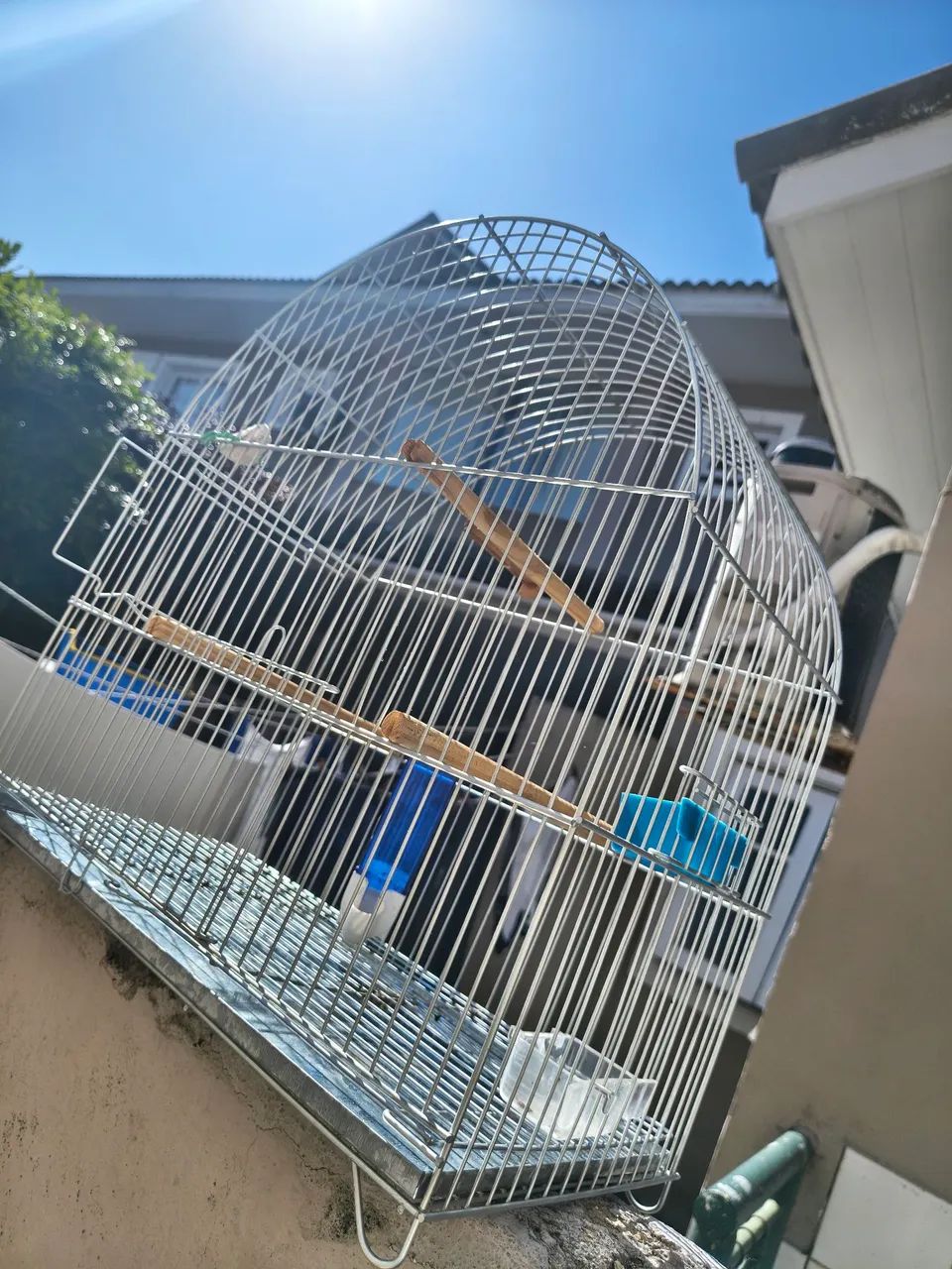 Gaiola passarinho  - Foto 2