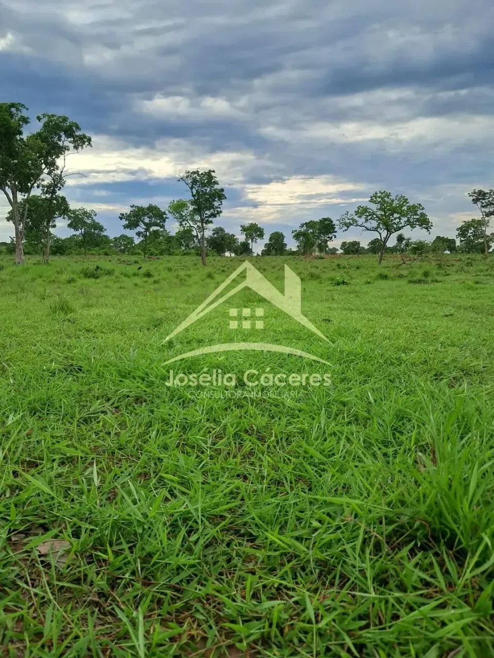 SÍTIO À VENDA  25 HECTARES | A 120 KM DE CUIABÁ/MT - Foto 2