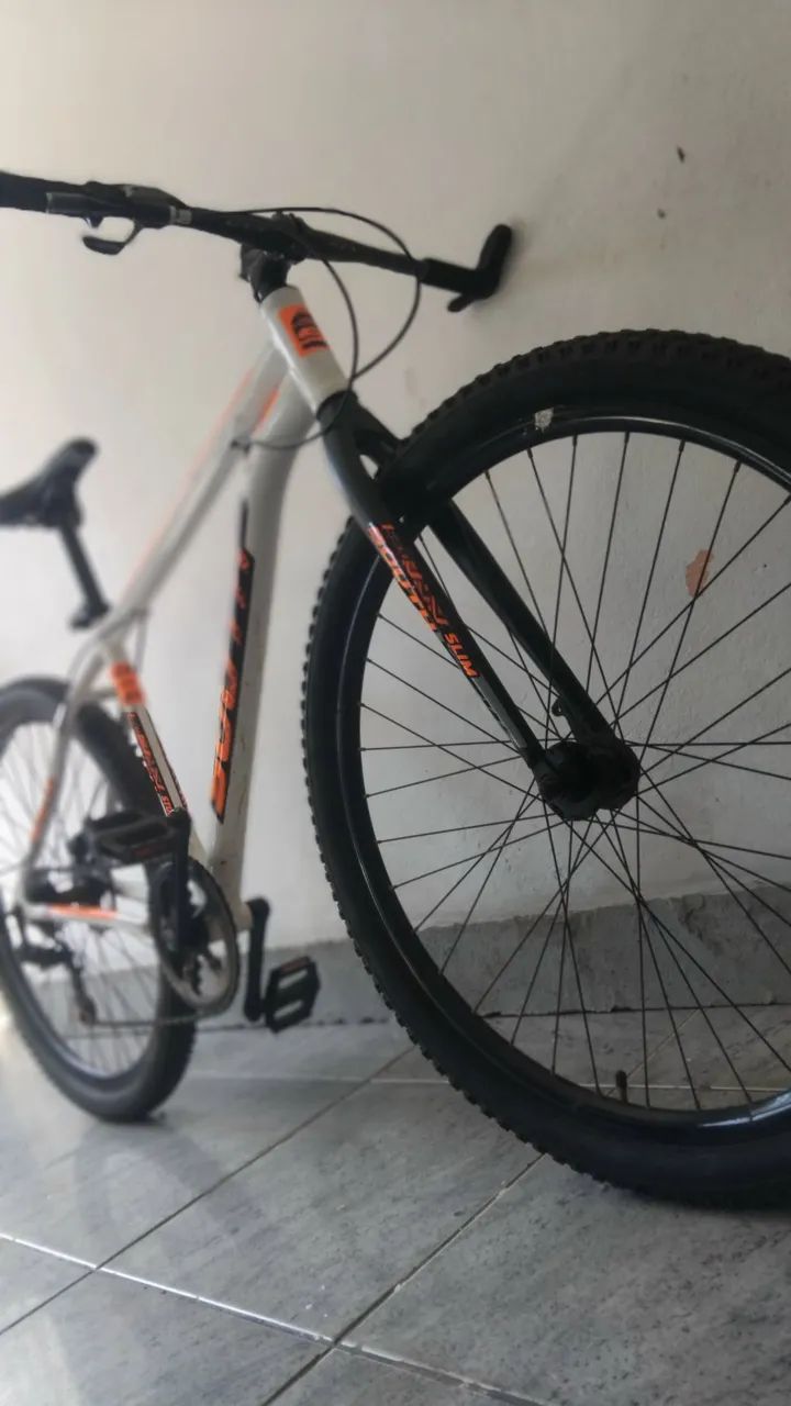 Bicicleta 29