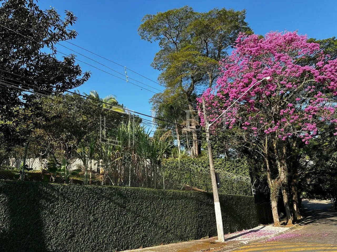 R.Rubens do Amaral,S/N - Morumbi - Terreno