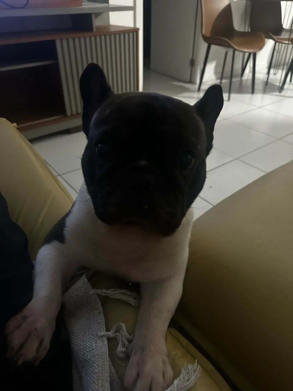 Procuro enamorada  - Foto 2